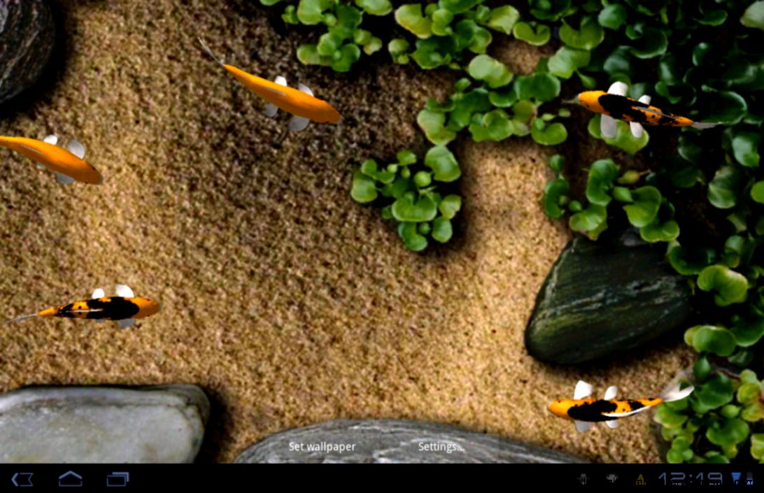 Android Wallpaper Review Koi Live Wallpaper  Android Central