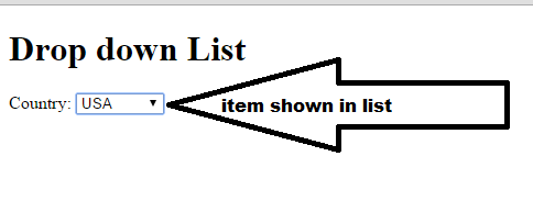 Drop Down List in Html - PProgramming