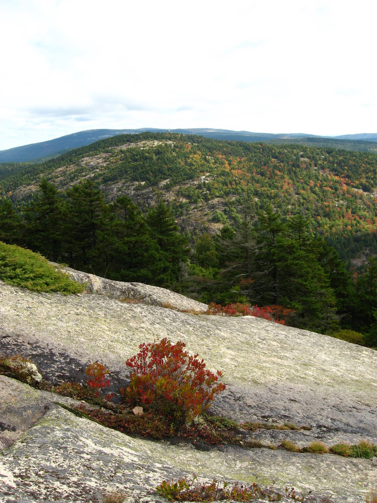 Mansell Mountain, Acadia National Park