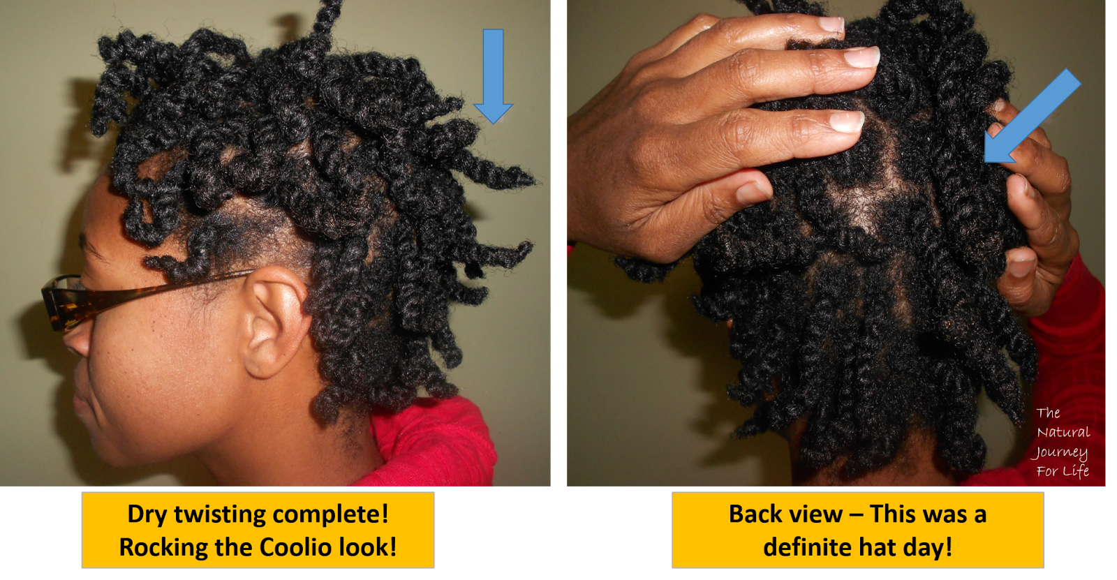 The Natural Journey For Life The Hair Journey Chunky Afro Dry Twist