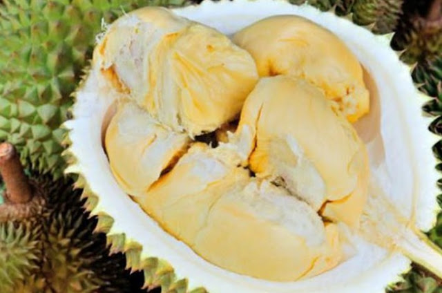Makan Durian Berbahaya Buat Ibu Hamil itu Mitos