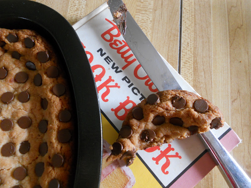 Ally's Sweet & Savory Eats Chocolate Chip Coconut Flour Bars