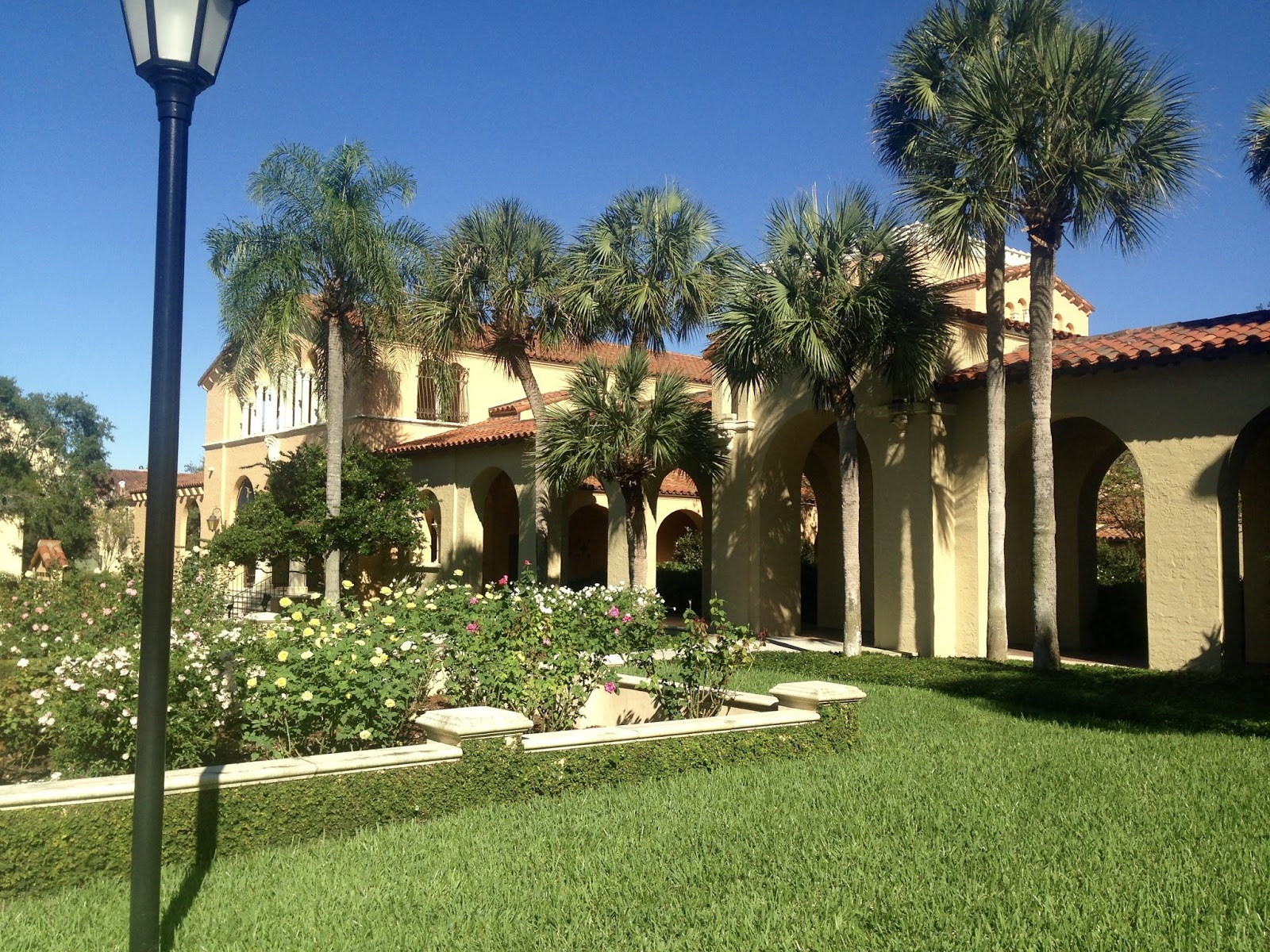 Amy's Creative Pursuits Fall Flowers in Winter Park, Florida