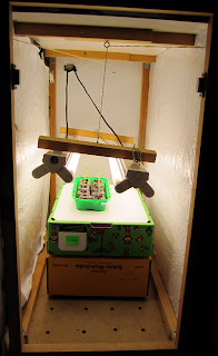 chili 840 leuchtstoffröhre