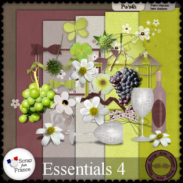 Nov. 2015 - HSA_Essentials4_pv