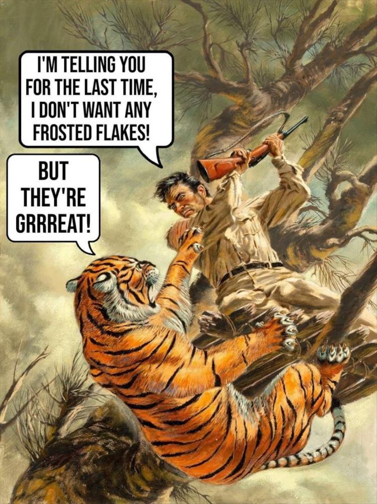 you-want-frosted-flakes.jpg