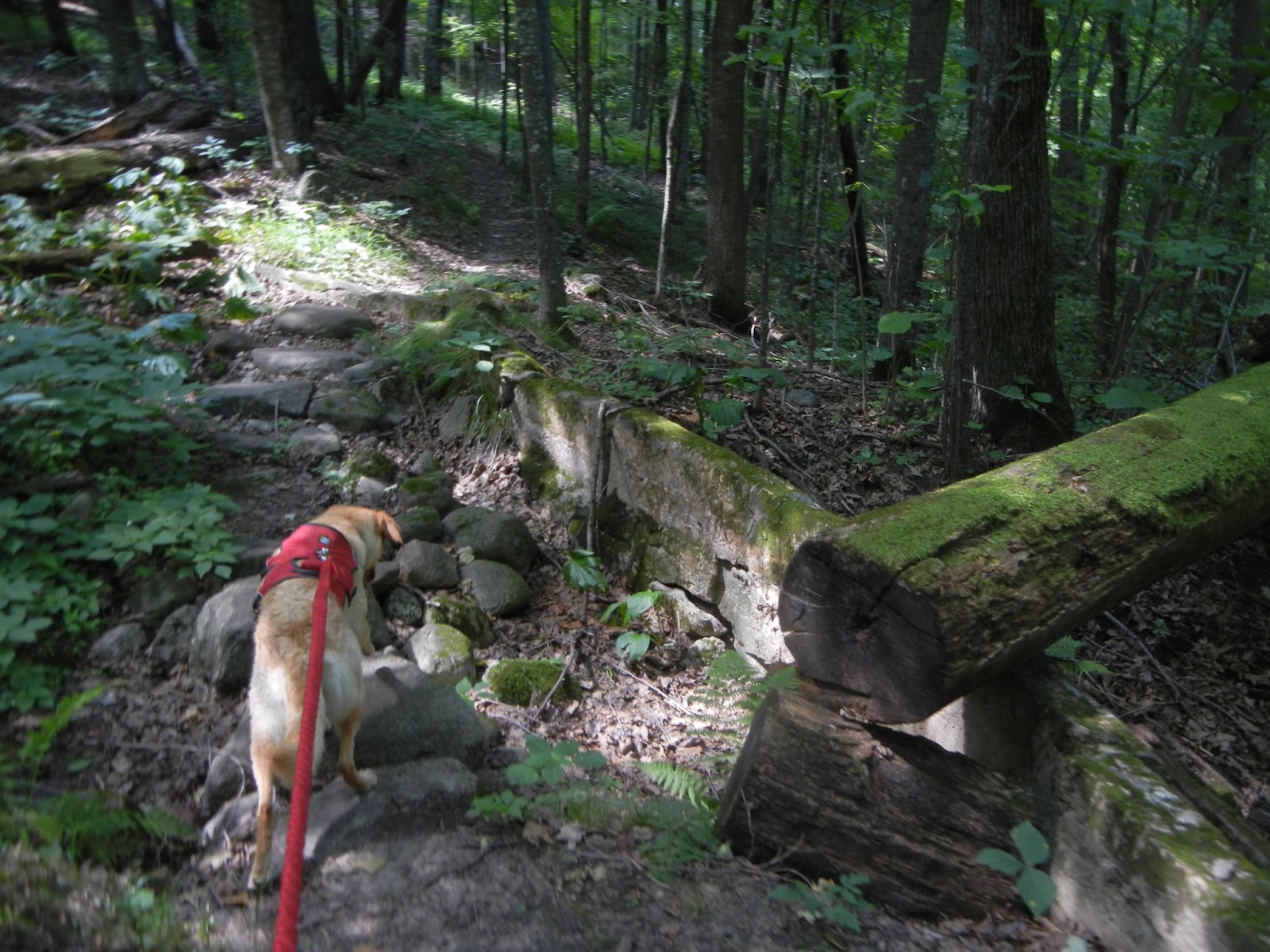 Hiking with Heather Ice Age Trail St. Croix Falls Segment (Part 1)
