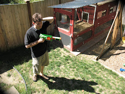 chicken nerf press coop sister awesome background