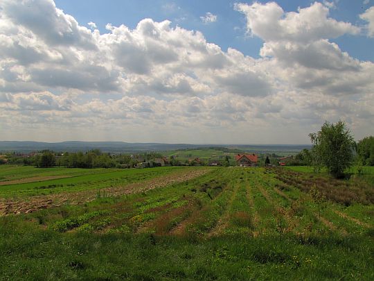 Widok na południe.