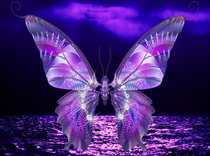 fondos de mariposas,butterfly