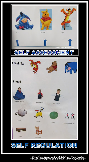 photo of: Self Assessment Leads to Self Regulation (Visual Cues RoundUP via RainbowsWithinReach)