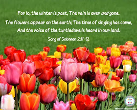 https://www.biblefunforkids.com/2019/05/the-flowers-after-winter.html