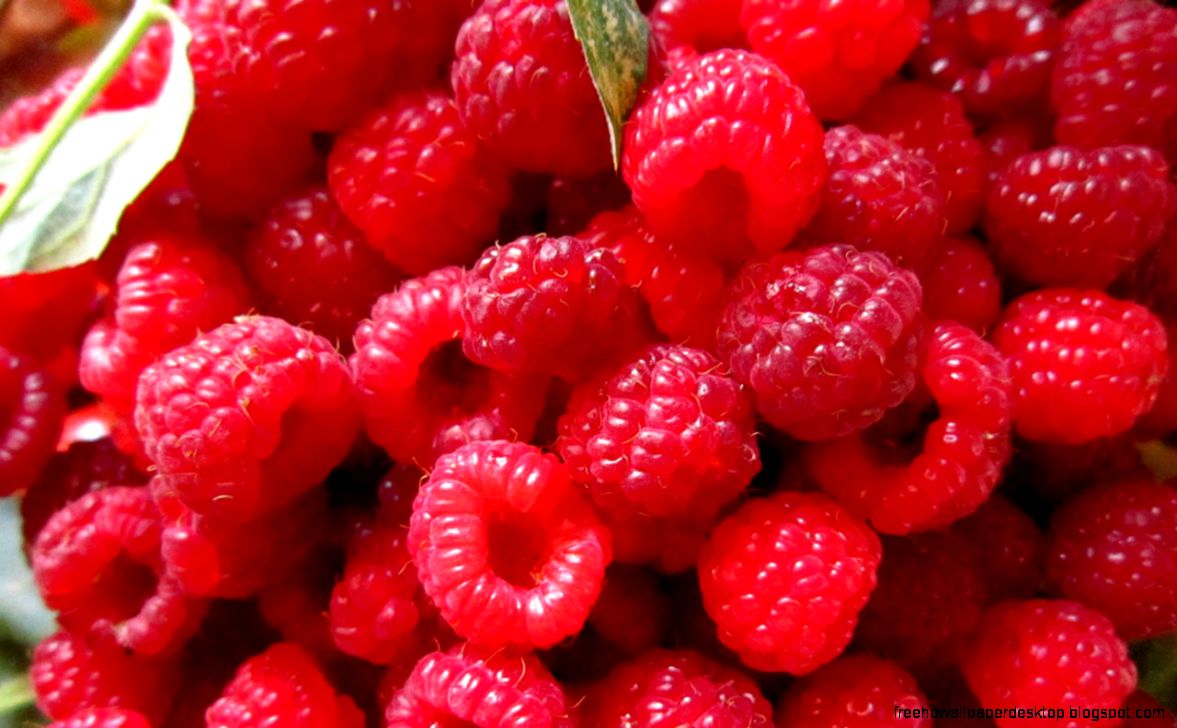 Raspberry Hd Wallpaper Free High Definition Wallpapers