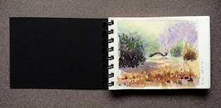 A water colour study work in a small sketch book by Manju Panchal