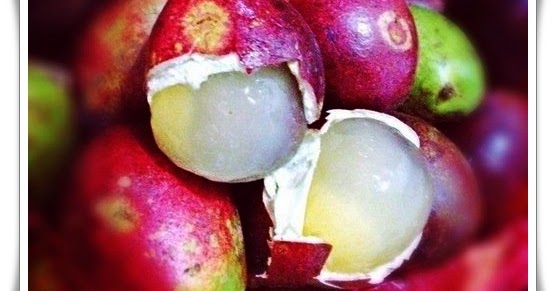 Informasi Seputar Kesehatan: Buah Matoa, Si Unik Dari Papua Yang Kaya