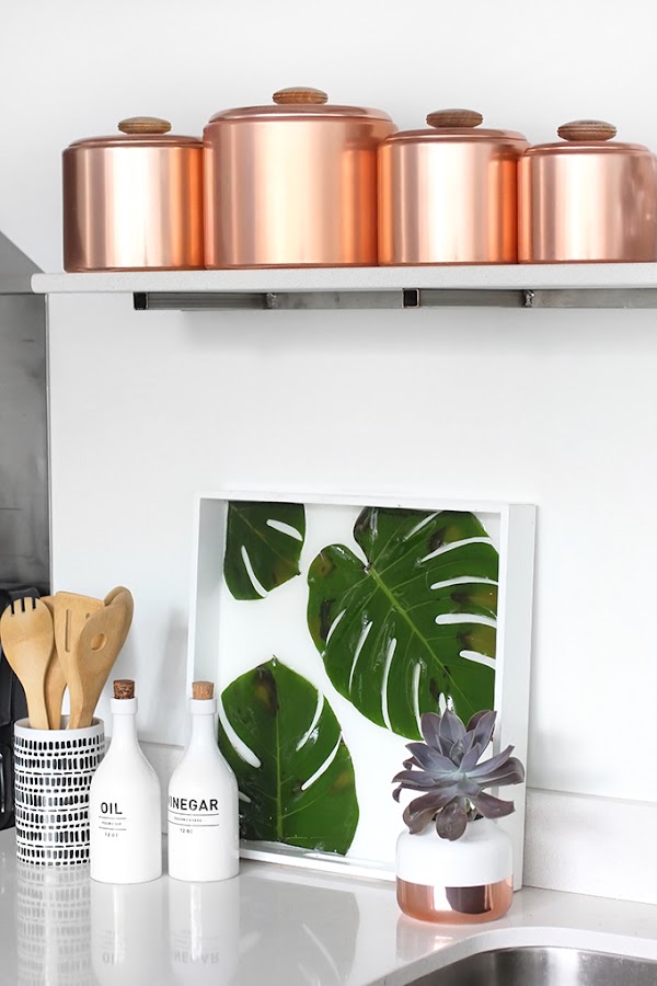 Bandeja diy con monstera