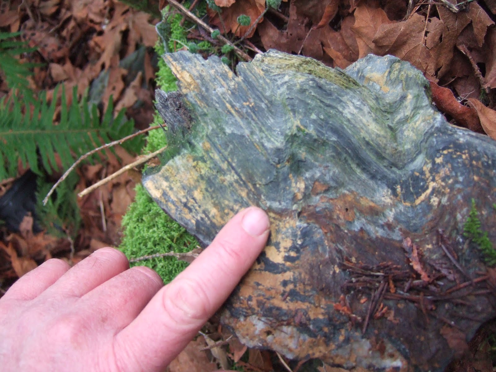 Reading the Washington Landscape Engineering Metamorphic Geology