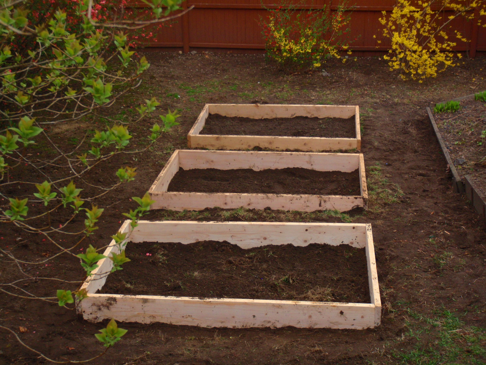 Seasons from Scratch Raised Vegetable Beds