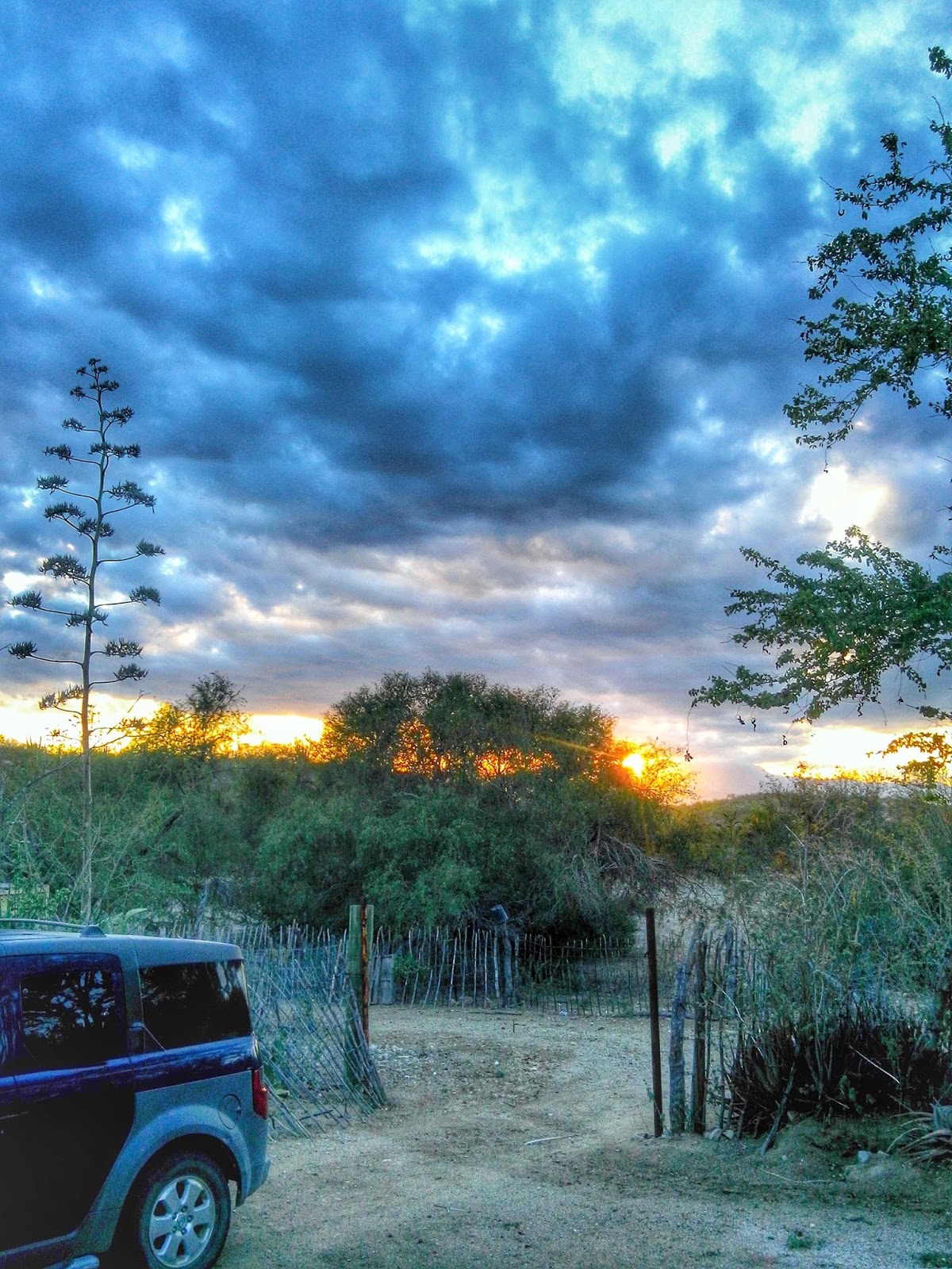 RANCHO LA FORTUNA LOS CABOS BAJA CALIFORNIA SUR