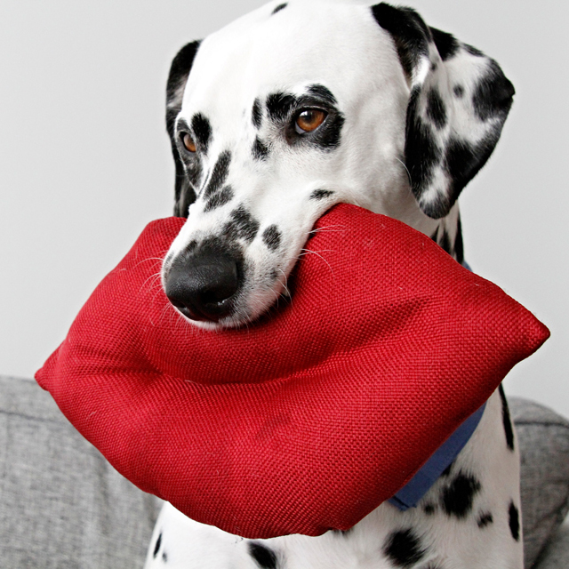 Dalmatian DIY DIY Giant Lips Squeaky Softie Valentine's Day Dog Toy