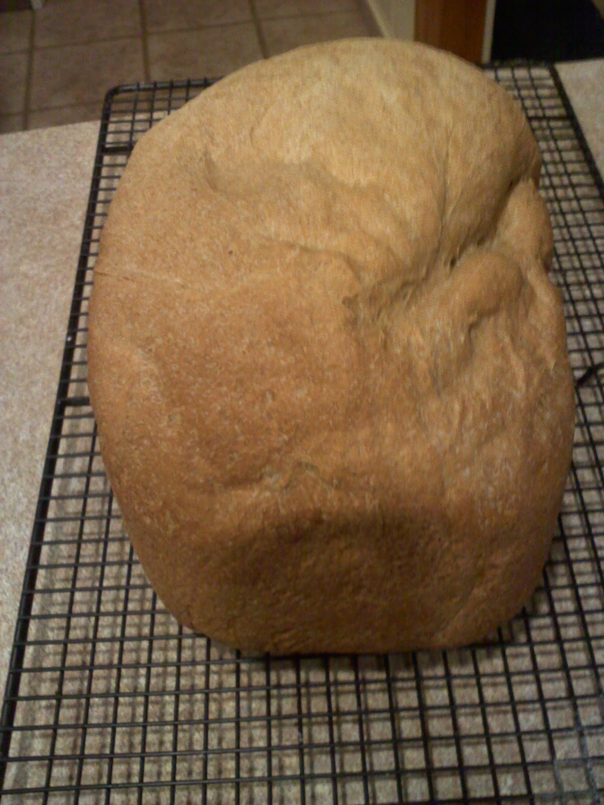 Homemade on Long Island Basic Honey Whole Wheat Bread Machine Bread 2