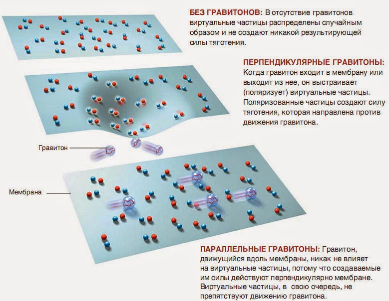 элементарные частицы гравитации. элементарные частицы гравитации. гравитон квант гравитации. вселенная мультивселенная метавселенная. бозон (элементарная частица).