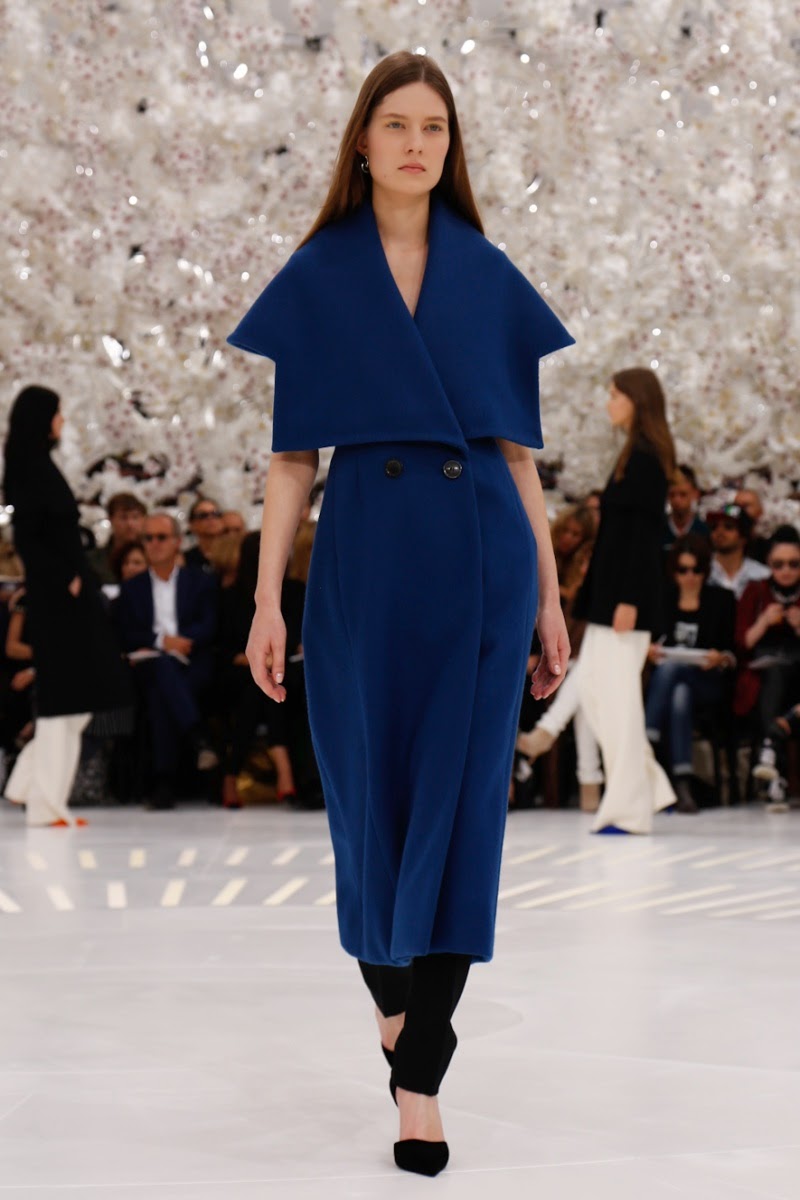 Dior Couture Fall/Winter 2014 Collection