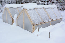 cold frame mini greenhouse plans greenhouses feedback highlight homestead rob 8th january