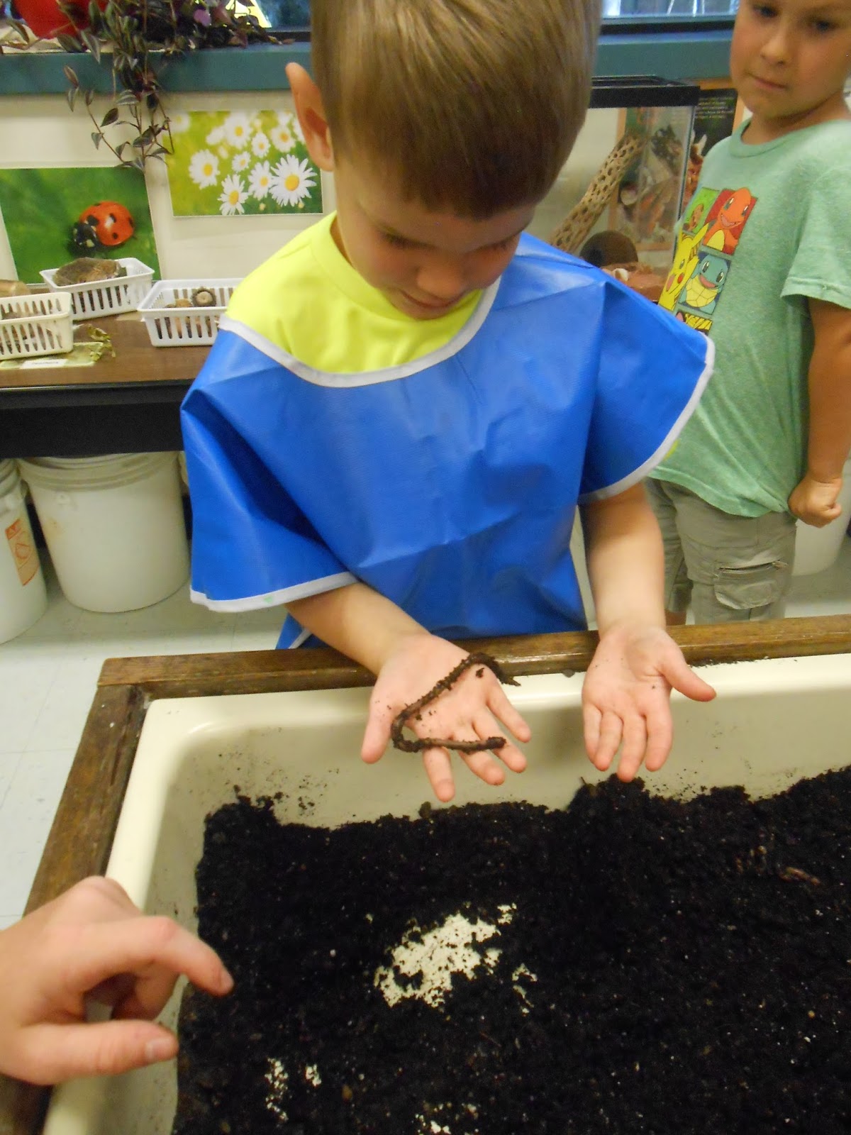  Hesston College Preschool: worms Motiv 