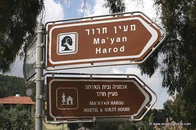 Мааян-Харод — национальный парк на севере Израиля