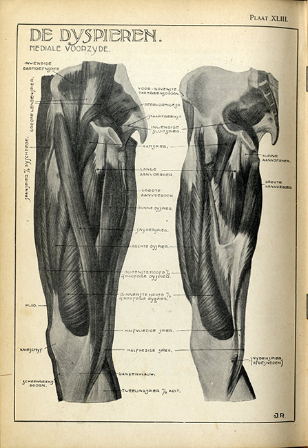 Rijkse Research of Artistic Anatomy: Jac Rijkse “ANATOMIE VOOR KUNSTENAARS” 1917