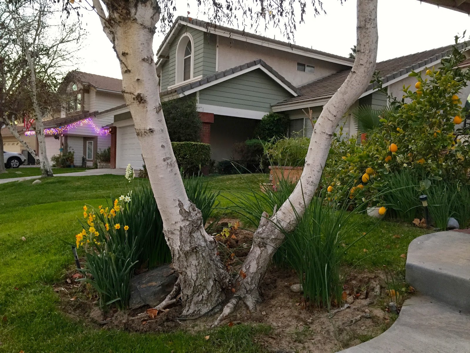 KFUNdamentals: Walkin' In A Winter Wonderland In So Cal