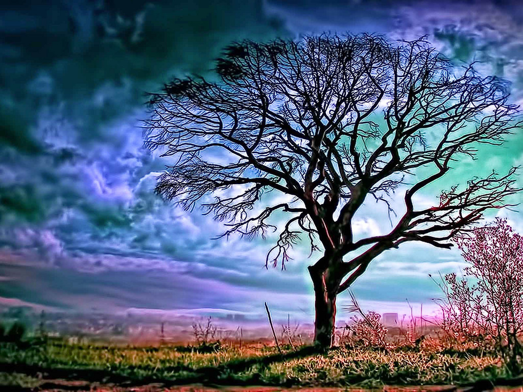 google photos screen saver linux google photos screen saver linux