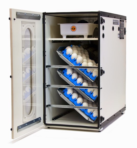 used egg incubator for sale uk used egg incubator for sale uk