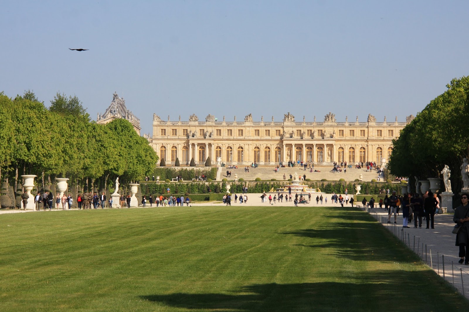 Wonderful Life Farm Versailles A Visual Feast