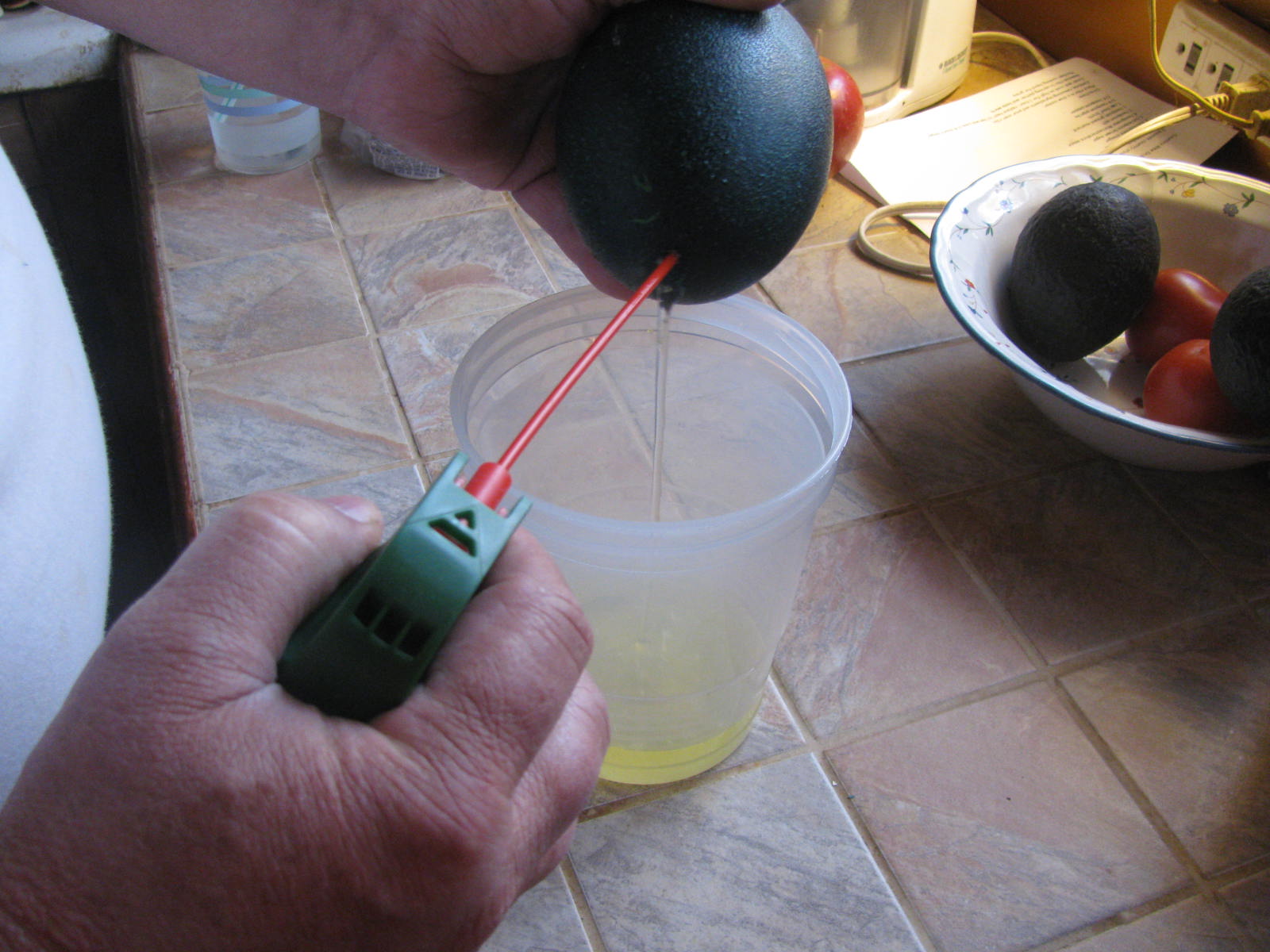 High Lonesome Homestead Emu Egg Quiche