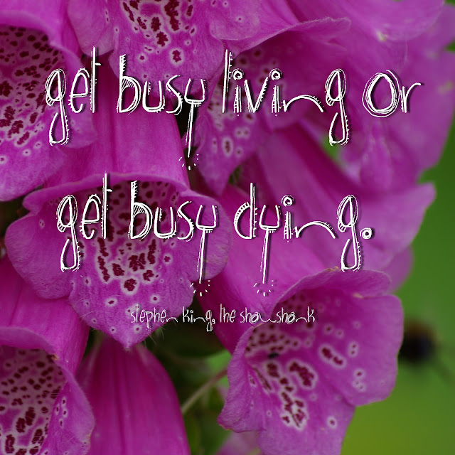Get busy living or get busy dying. - Stephen King