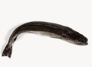 Pes Merluza BRIOMAR PESCADERÍA