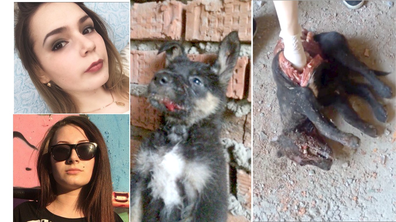 Top Alina Orlova Animals Photos in the world Learn more here 