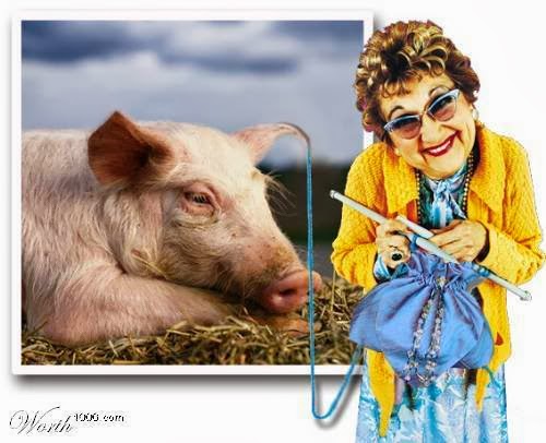you-cant-make-a-silk-purse-out-of-a-sows-ear-dr-diva-verdun.jpg