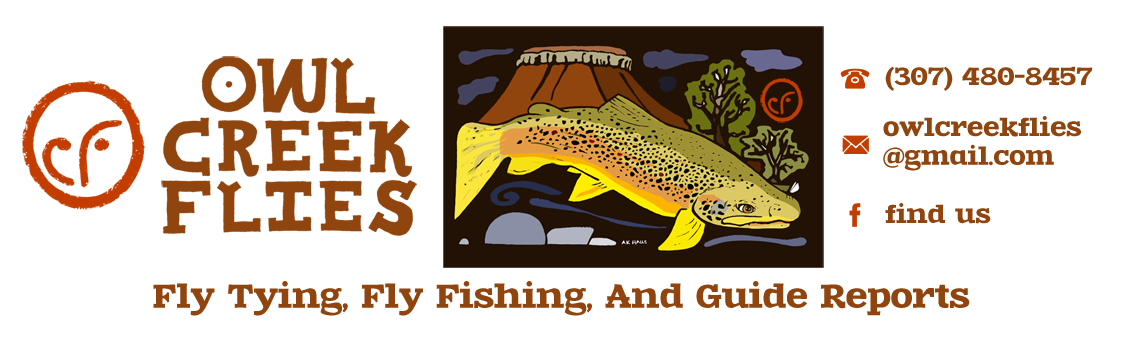 Owl Creek Flies - Bighorn River, Thermopolis - Fly Fishing Guide Service