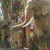 Rehat Sejenak di Lombok Elephant Park, Hari Libur Sang Gubernur