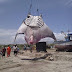 Perú, pescan mantarraya de mil kg
