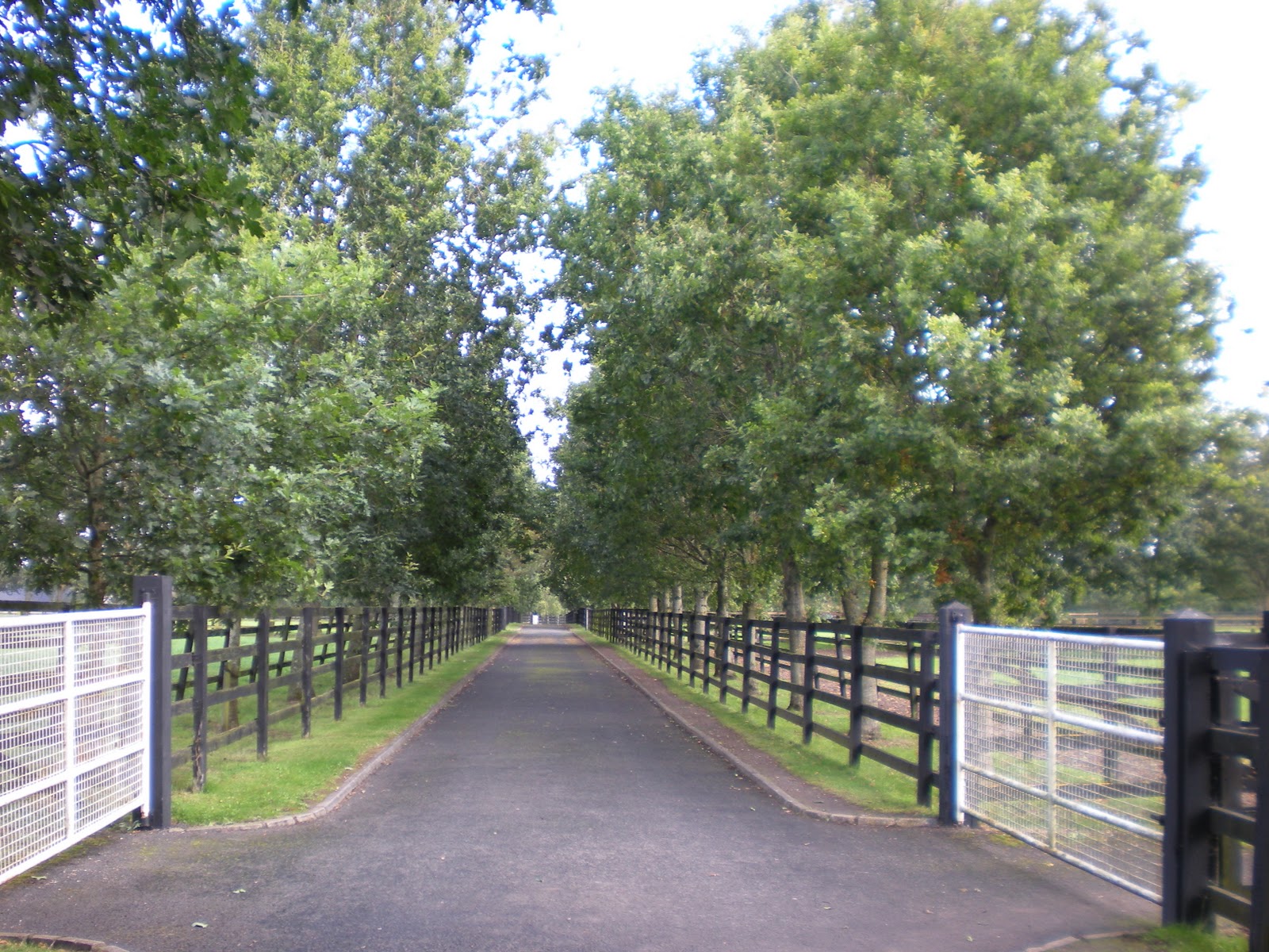 ToshMaHaul Kildare National Stud Farm, Kilkenny, and Waterford