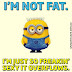 I'm not fat