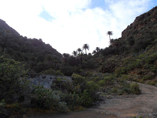 Barranco del Draguillo Barranco del Draguillo
