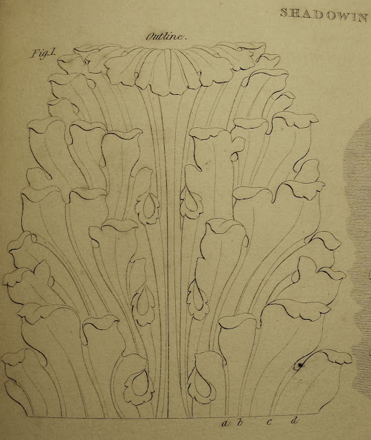 surface fragments: How to Draw the Acanthus: Drawing Shadows (Part IV)