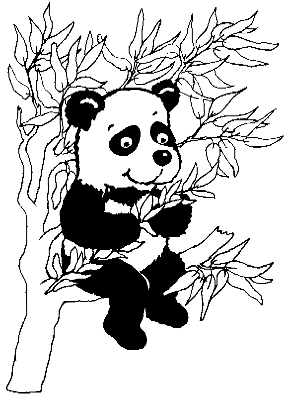 panda coloring pages to print - photo #27