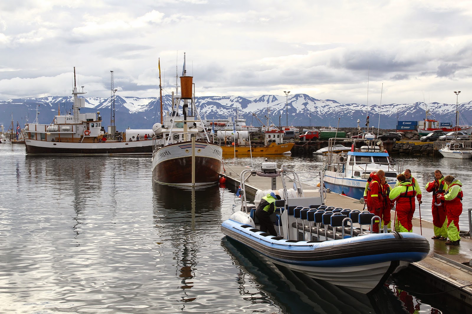 Observar BALEIAS EM HUSAVIK e conhecer estes “gigantes gentis” (baleias) | Islândia
