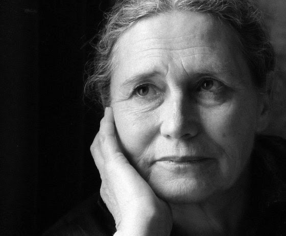 La grieta (Doris Lessing)